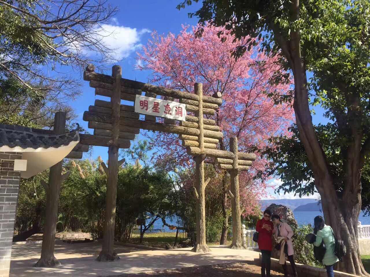 明星鱼洞 参考图 1