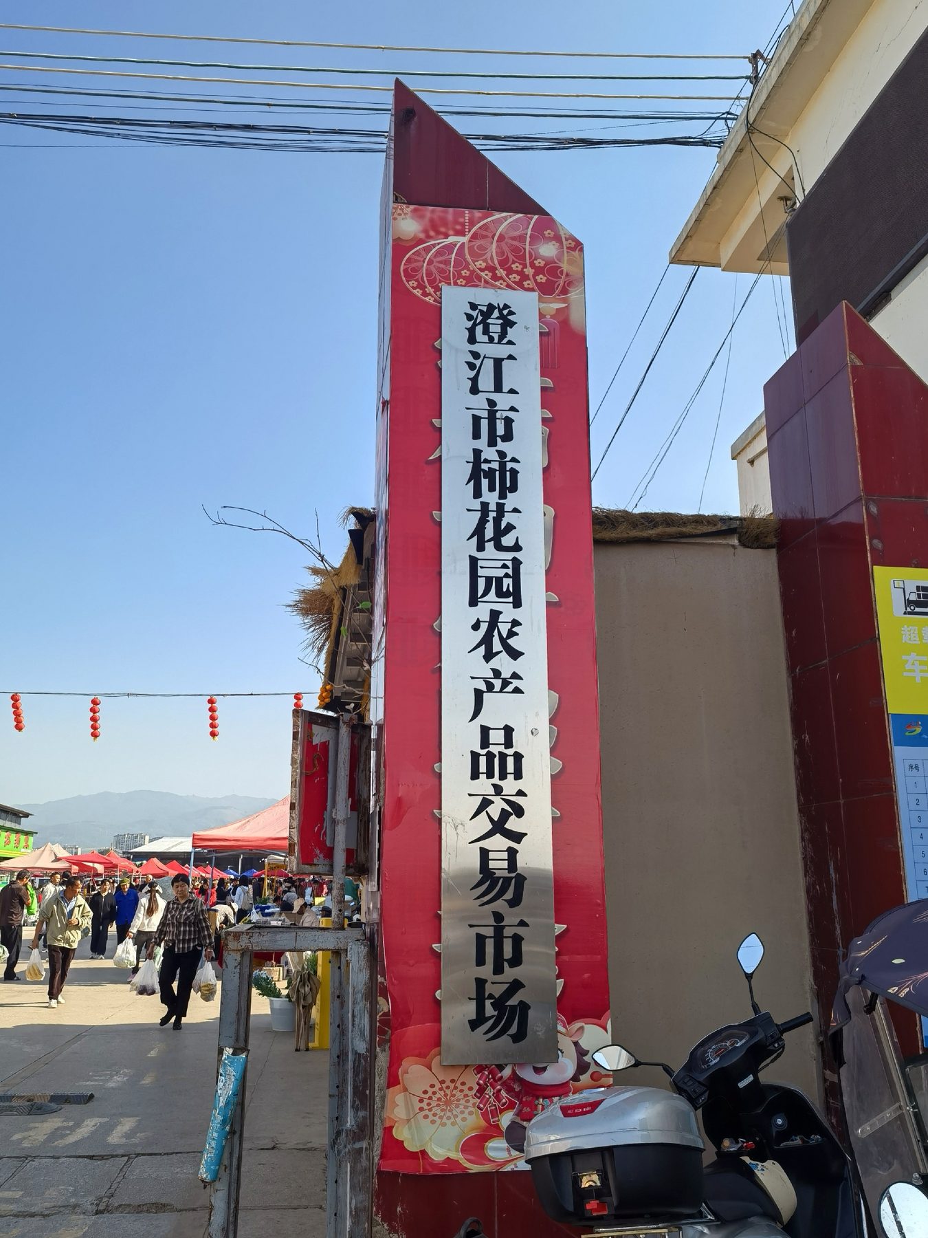 澄江藕粉 参考图 1